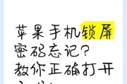 苹果手机开机密码忘记了怎么办（遇到忘记开机密码的苹果手机该如何解决）