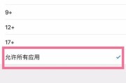哪些工作环境允许使用苹果手机？