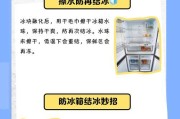 解析冰箱冷藏结冰的原理与过程（探究冰箱冷藏室内结冰的关键因素与方法）