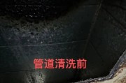万州油烟机消毒清洗攻略（健康无菌）