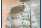 洗衣机是否适合洗羽绒服？（揭秘洗衣机对羽绒服的影响及保护技巧）