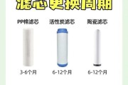 自制净水器清洗滤芯的方法（简单有效的滤芯清洗技巧，让您的自制净水器恢复高效）