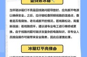 冰柜照灯不亮的原因（解决冰柜照灯问题的有效方法）