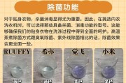 洗衣机新手清洗方法（学会正确清洗洗衣机，保证洗衣效果）