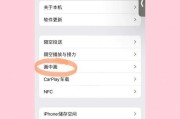 苹果手机TLD开启方法是什么？