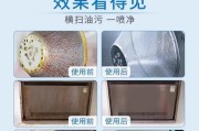 正确处理使用清洗剂洗油烟机的方法（保护油烟机不受损伤）