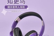 知更鸟耳机设置方法及常见问题解答？