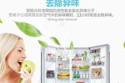 冰箱除味盒的使用与效果探究（冰箱除味盒能否有效去除异味）