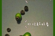 蓝牙耳机壁纸更换方法是什么？有哪些好看的壁纸推荐？
