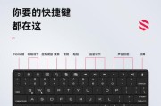 iPad8如何连接蓝牙鼠标？