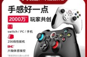 只狼在游戏机中怎么玩？