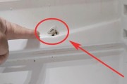 冰箱小孔堵塞处理方法（解决冰箱小孔堵塞的实用技巧）