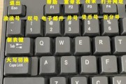 键盘上的上下键有什么作用？如何正确使用它们？