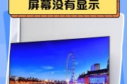 如何解决显示器亮屏却没有画面的问题（显示器故障排除指南-无画面问题的解决方法）
