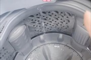 保丽龙粒子掉洗衣机怎么办（探索有效清理保丽龙粒子的方法）