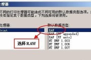 打印机出现莫名有数据问题如何解决？（识别问题的关键是提前发现）