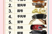 这种乐器是什么？如何用它演奏音乐？