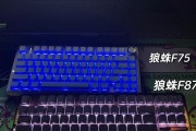哪款键盘支持拾音功能？