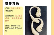 挂式蓝牙耳机使用方法是什么？常见问题有哪些？