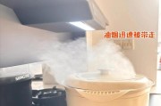集成灶电机清洗方法（轻松保持集成灶电机清洁的技巧与注意事项）