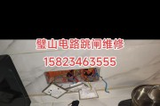 修理冰箱跳闸问题的方法（解决家庭冰箱跳闸问题的技巧和方法）