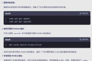 荣耀电脑显卡驱动安装方法？驱动不工作怎么办？