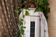 格力圆柱空调过滤网拆卸步骤详解（轻松拆下格力圆柱空调过滤网）