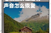 飞利浦电视开机黑屏怎么办（解决方法及常见原因分析）