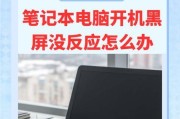 解决打印机黑屏没反应的常见问题（掌握故障排除技巧，快速恢复打印功能）