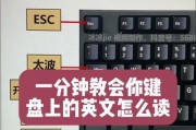 小米平板观看番茄视频无广告的方法是什么？