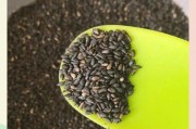 怎样合理利用破壁机剩余的芝麻酱？（创意菜谱助您变废为宝）
