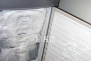 如何高效清洗冰箱冻冰（清洗冰箱冻冰的专业技巧）