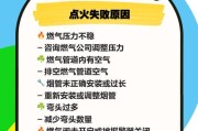 羽顺壁挂炉E2故障及处理方法（壁挂炉显示E2故障原因与解决方案）
