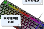 需要定制的键盘有哪些专业名称？