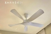 普通电风扇应该使用哪种电线？