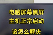 打印机启动后黑屏问题的原因及解决方法（探索打印机启动后出现黑屏的原因）