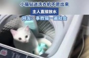 洗衣机小猫神器有何用途？如何使用该神器清洗洗衣机？