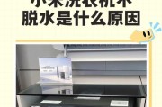 洗衣机脱水问题分析与解决方法（为什么洗衣机脱不了水）