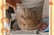如何正确使用洗衣机进行脱水（一步步教你如何避免脱水出现问题）