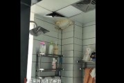 楼下油烟机噪音大的解决方案（消除噪音困扰，让生活更宁静）