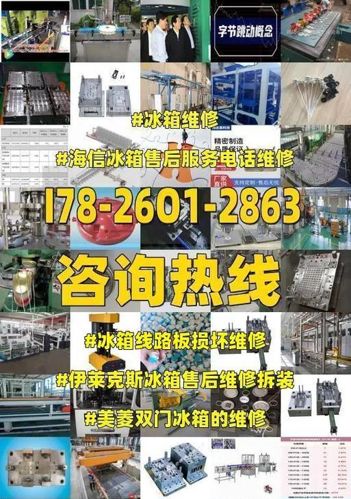 解决伊莱克斯冰箱不排水问题的维修方法（教你如何自行修理伊莱克斯冰箱不排水的故障）