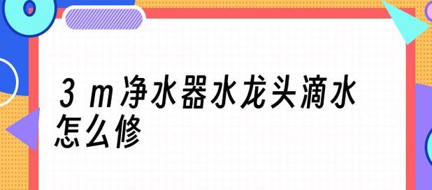 净水器漏水问题的维修与解决（掌握维修技巧）