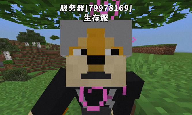 我的世界如何创建服务器？我的世界服务器创建步骤是什么？