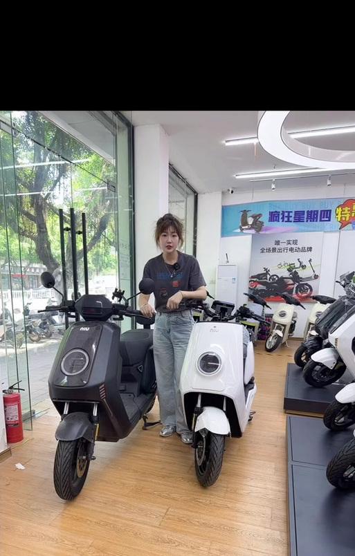小牛NXT充电器功率选择？