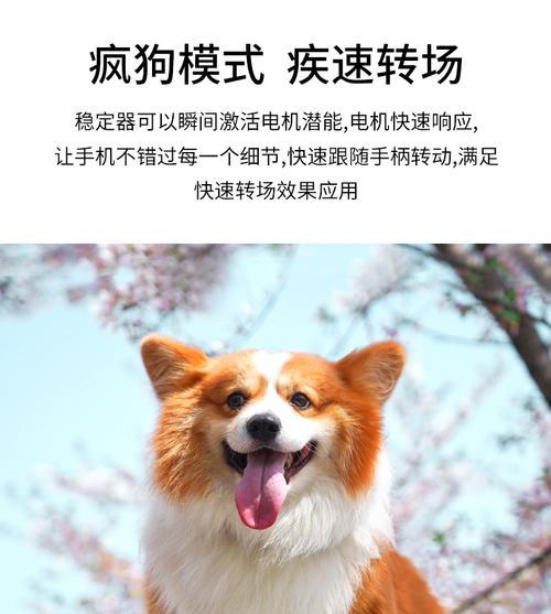 苹果手机3倍防抖功能是什么？它如何工作？