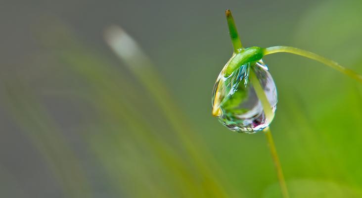 夜雨中佳能相机拍照技巧有哪些？