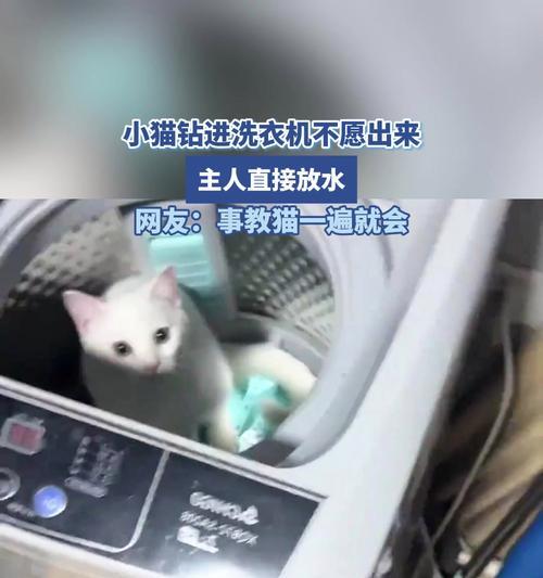 洗衣机小猫神器有何用途？如何使用该神器清洗洗衣机？