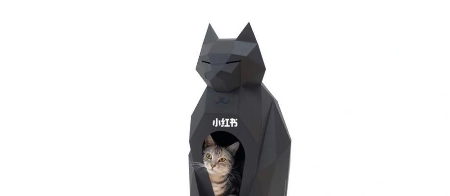 如何使用网络共享猫屋？操作步骤和注意事项？
