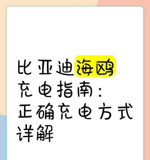 海鸥平衡充电器的性能如何？