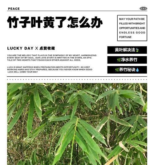 电脑白色配件泛黄如何处理？处理不当会有什么影响？